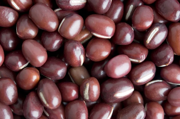 빨간 콩 — 스톡 사진