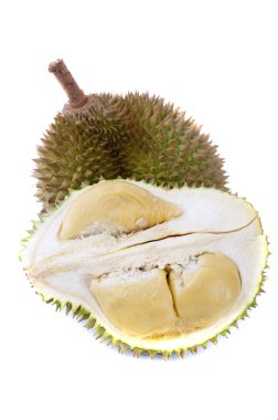 Durian clipart