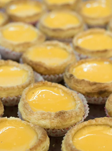 stock image Egg tarts