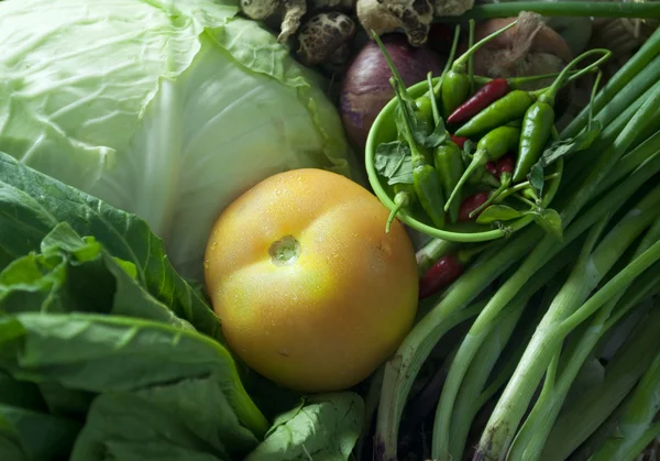 Olika tropiska grönsaker — Stockfoto