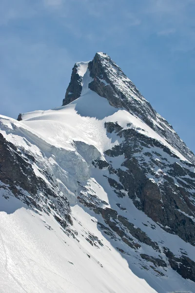 stock image Glacier in Summer, Caucasus