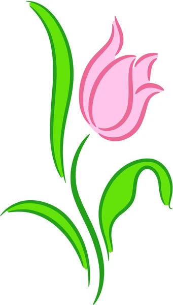 Цветок тюльпана — стоковый вектор