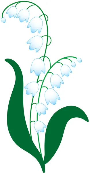 Lily van de vallei — Stockvector
