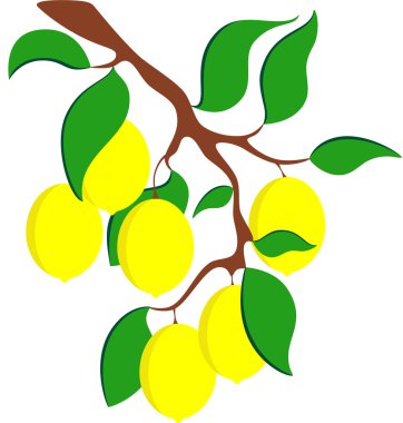 limon