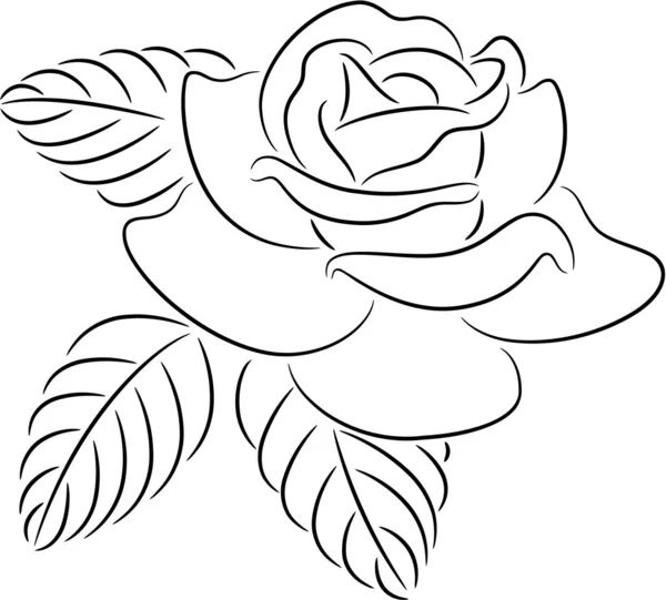 Контур розы — стоковый вектор