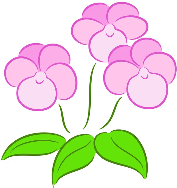 Heartsease Flower — Stock Vector