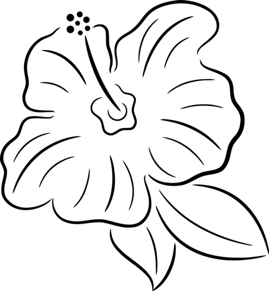 Flower — Stock Vector