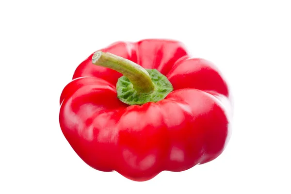 Red Paprika on white background — Stock Photo, Image