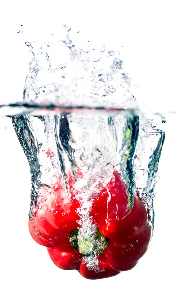 stock image Paprika in water