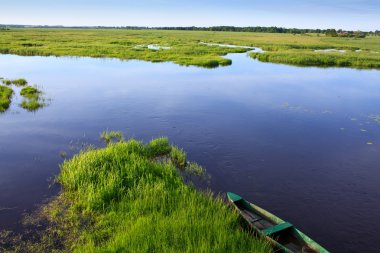 Narew Nehri