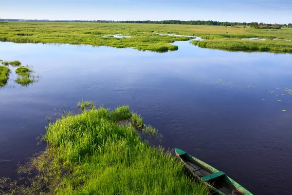 stock image Narew river