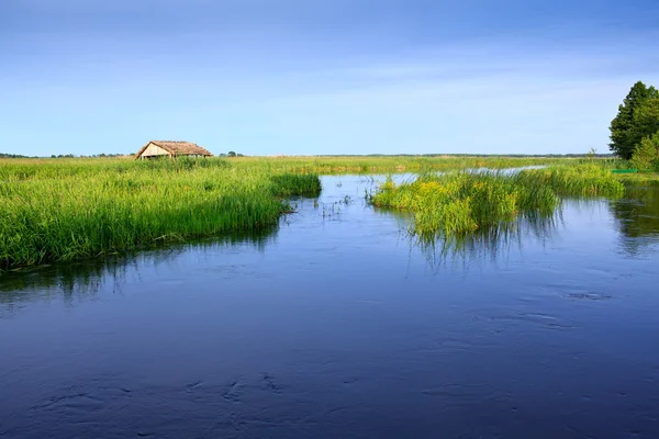 Stock image Narew river