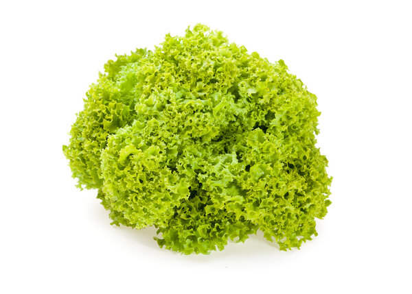 Lettuce
