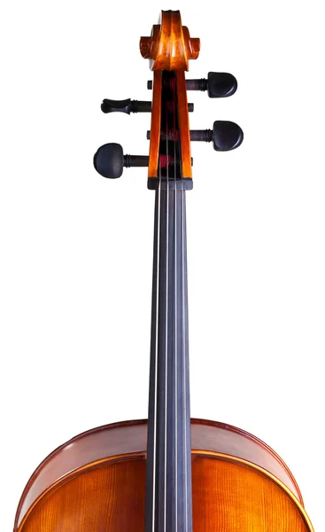 Cello's scroll — Stock Photo, Image