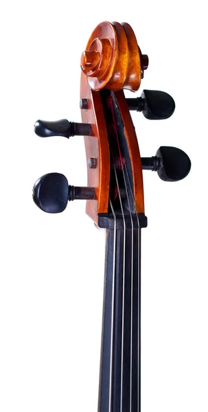 Cello's scroll — Stock Photo, Image