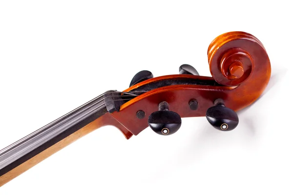 Свиток виолончели — стоковое фото