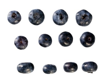 bilberry