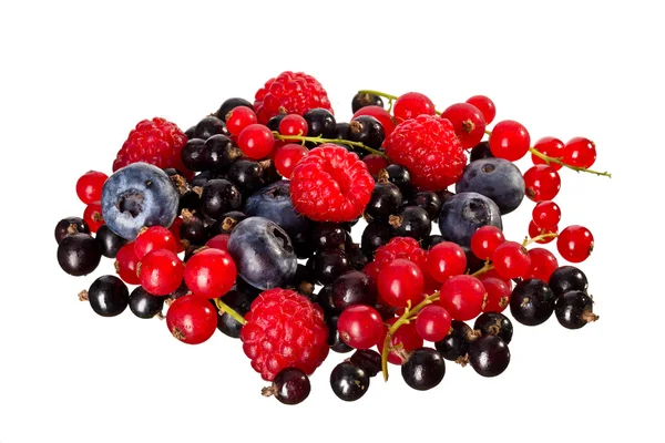 Berry karışımı — Stok fotoğraf