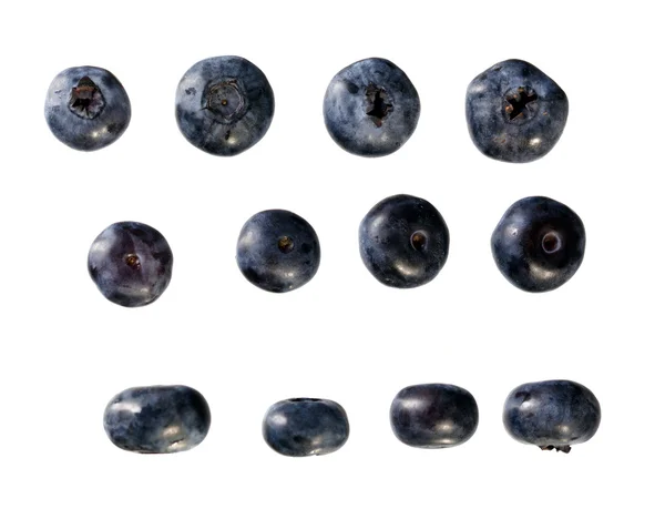 Stock image Bilberries