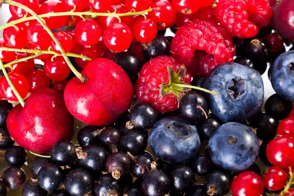 Berry karışımı — Stok fotoğraf