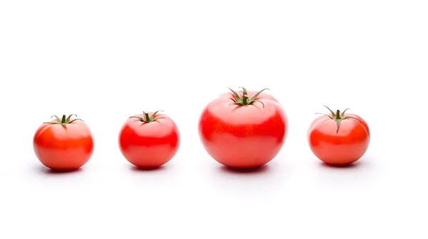 Tomaattien geneettinen muuntelu — kuvapankkivalokuva