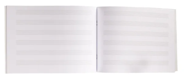 Carta di note musicali in bianco — Foto Stock