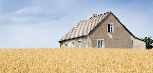Mavi gökyüzünün altında çiftlik evi ve tarlalar — Stok fotoğraf