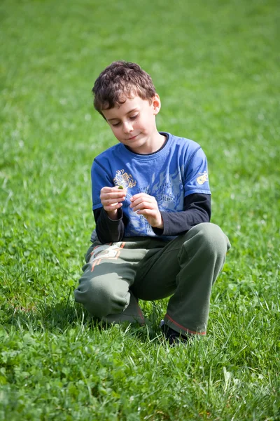 Underbara pojke i en gräsplan — Stockfoto