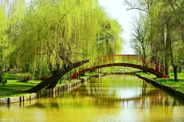 Міст над водою в парку — стокове фото