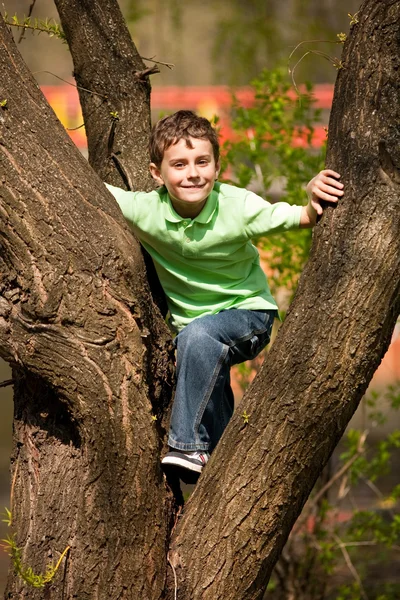 Niño trepando en árboles —  Fotos de Stock
