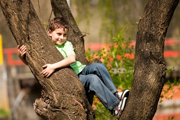 少年は木に登って — ストック写真