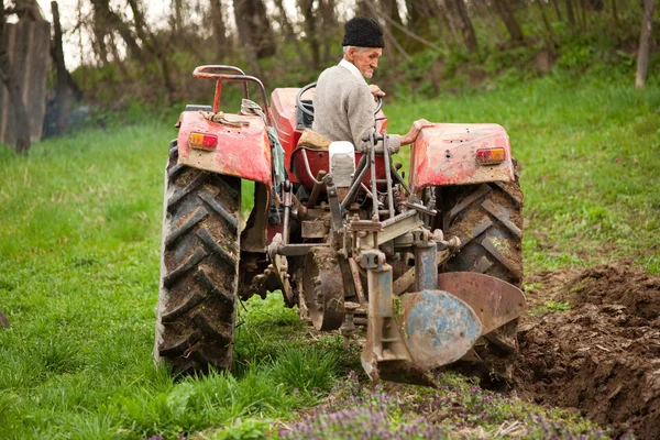 古い農夫の耕起 — ストック写真