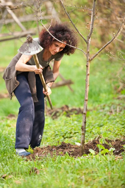 Jonge roodharige dame tuinieren — Stockfoto