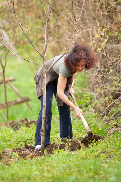 Jovem ruiva senhora jardinagem — Fotografia de Stock