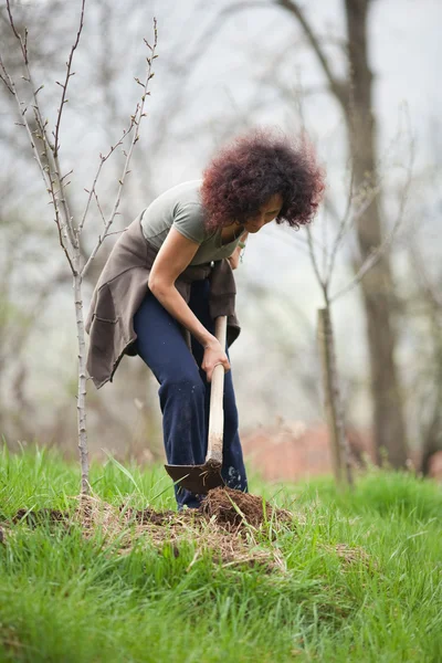 Junge rothaarige Dame bei der Gartenarbeit — Stockfoto