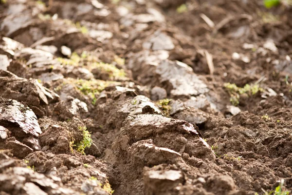 Plough soil — Stock Photo, Image
