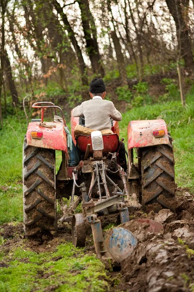 Old farmer plowing Stock Image