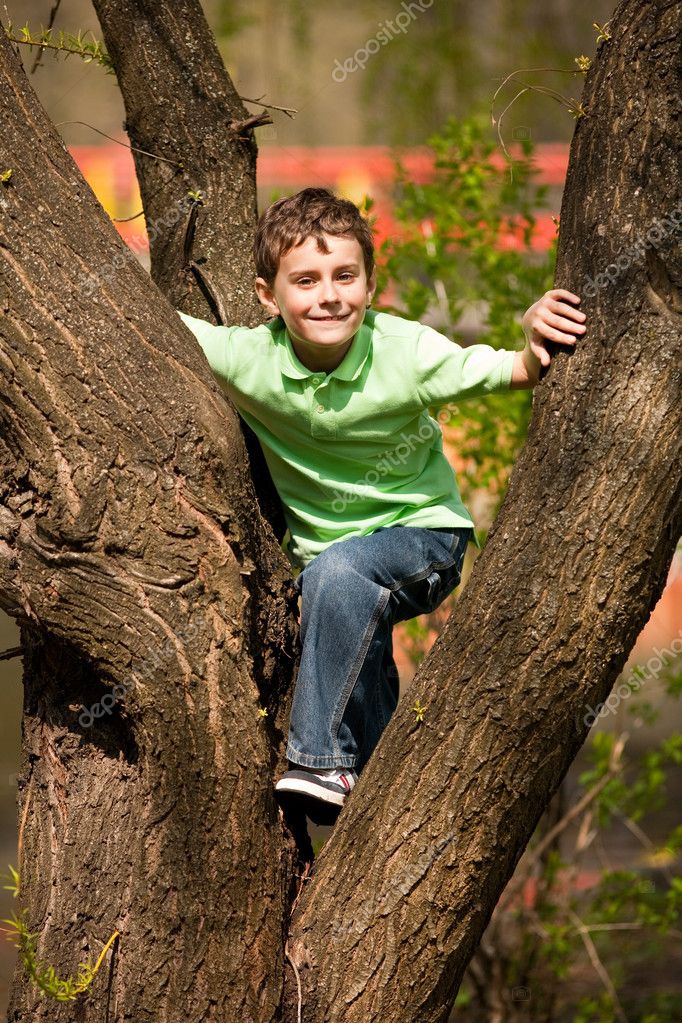 Boy climbing in trees — Stock Photo © Xalanx #2894552