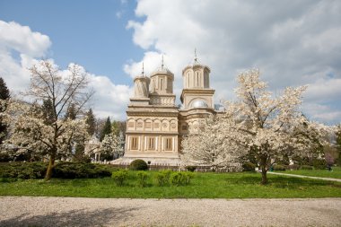 Curtea de Arges monastery clipart