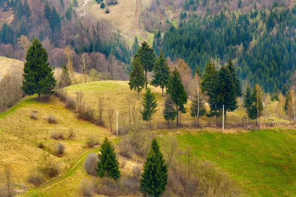 Bergen landschap — Stockfoto