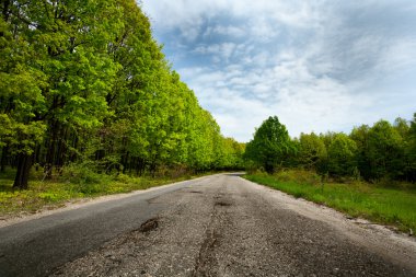 ağaçlar arasında boş yol