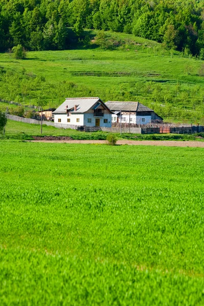 Landsbygdens landskap med vete fält och hus — Stockfoto