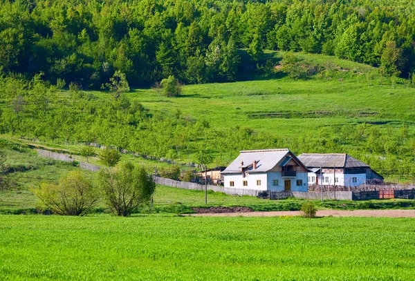 Wiejski krajobraz z pola pszenicy i dom — Zdjęcie stockowe