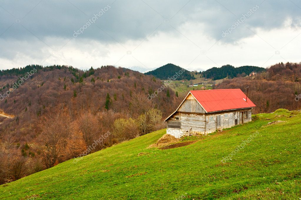 Single house on grass field
