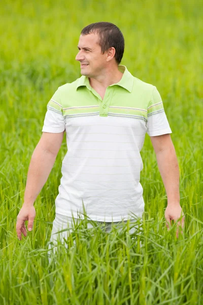 Buğday alanında genç adam — Stok fotoğraf