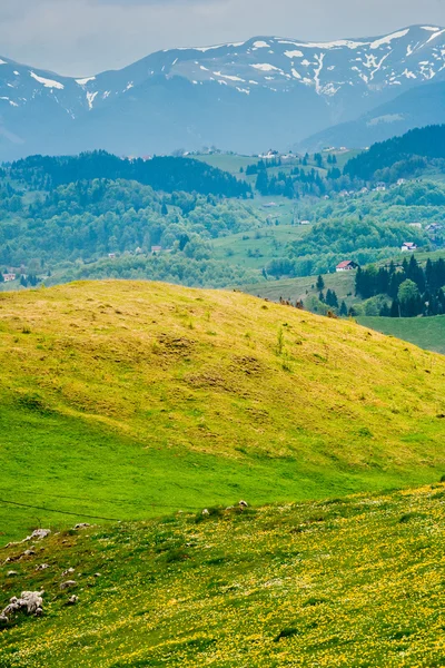 Alpine Landschaft — Stockfoto