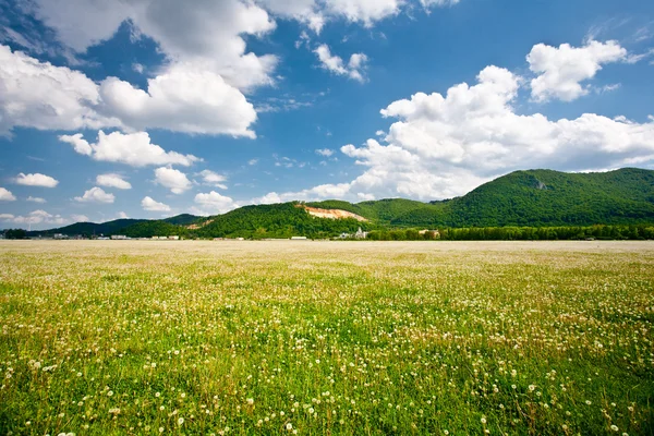 Landskap med maskrosor fält och berg — Stockfoto