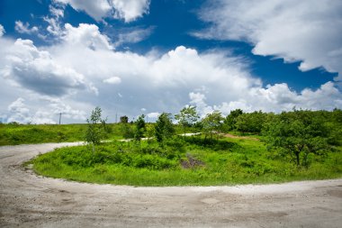 ağaçlar arasında kırsal yol