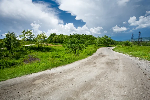 Rural road through trees — Stock Photo, Image