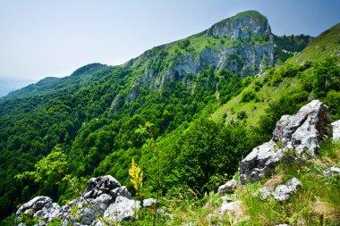 Alp Manzarası